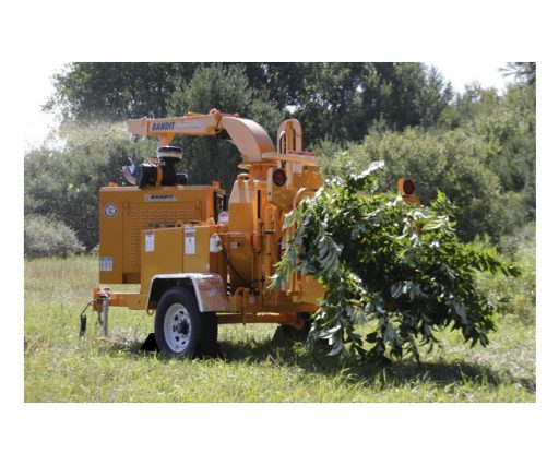 Chipeadoras de Tambor